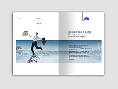 案例展示一